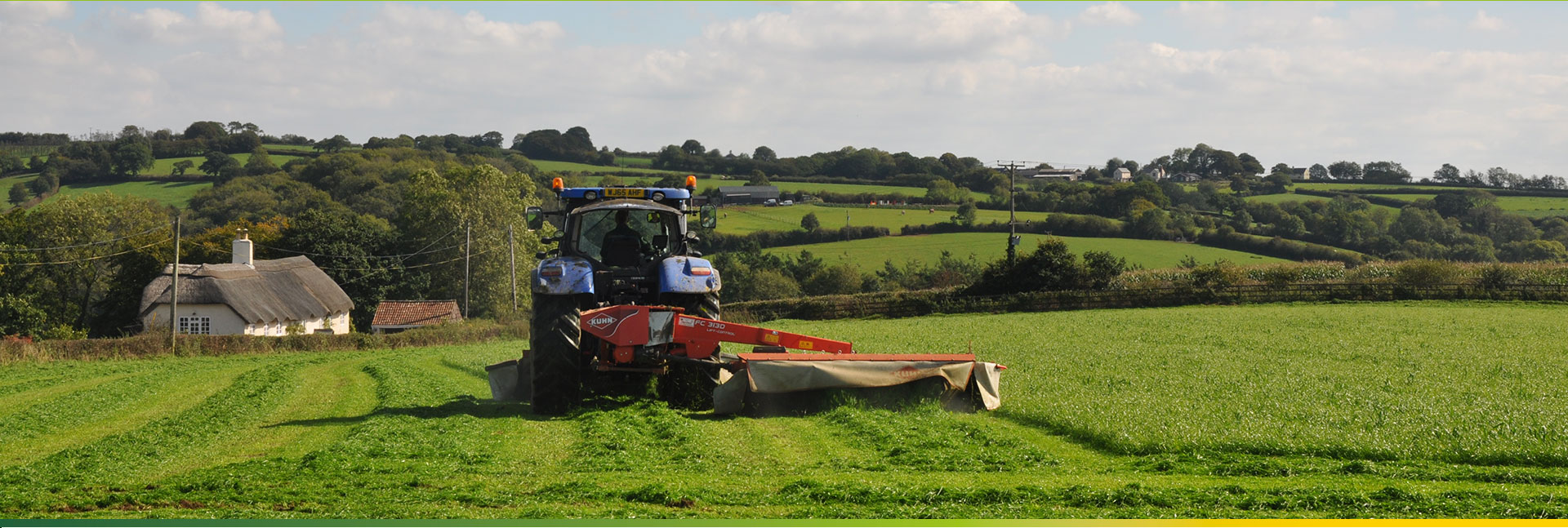 Greener For Life - Renewables