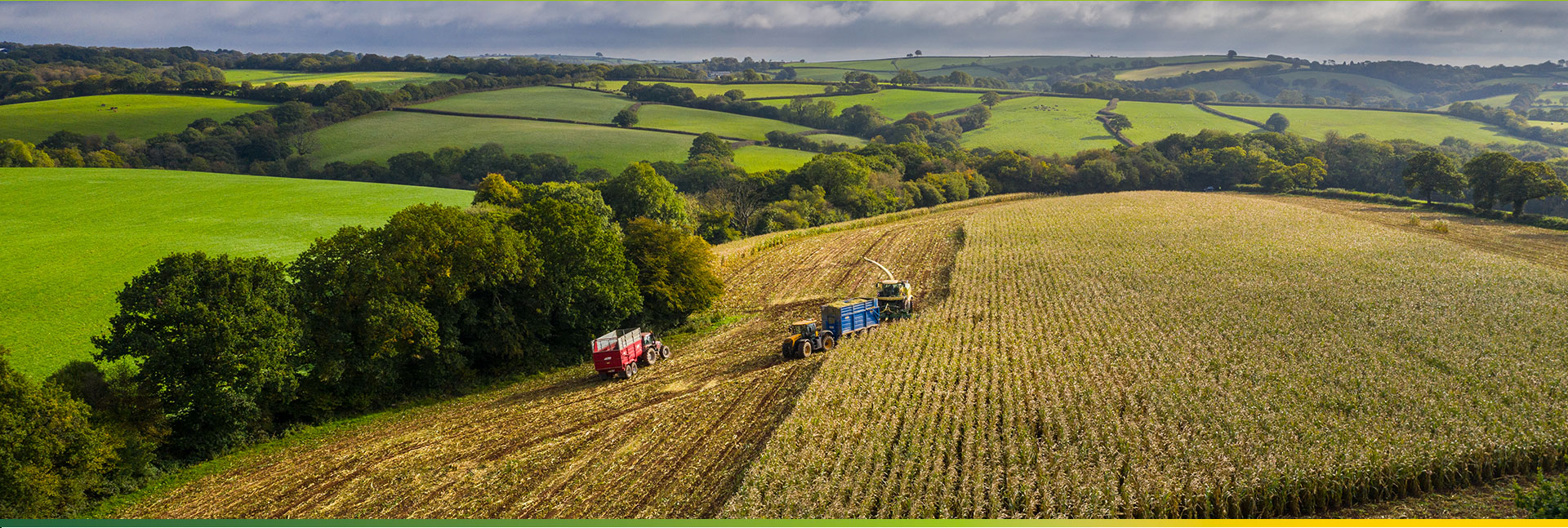 Greener For Life - Renewables